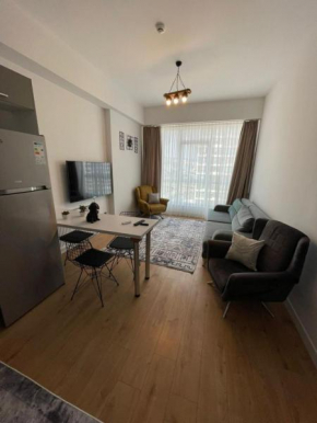 Flat with Shared Pool Sauna and Gym in Kadikoy